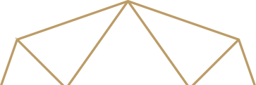 Vector