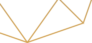 Vector